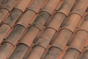 C-45.20 CURVED ROOF TILE | NATURE MOSS RED