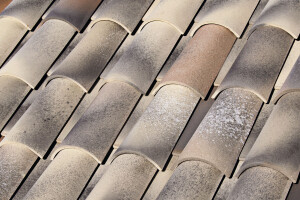 C-50.21 CELLER CURVED ROOF TILE | NATURE MONTSENY