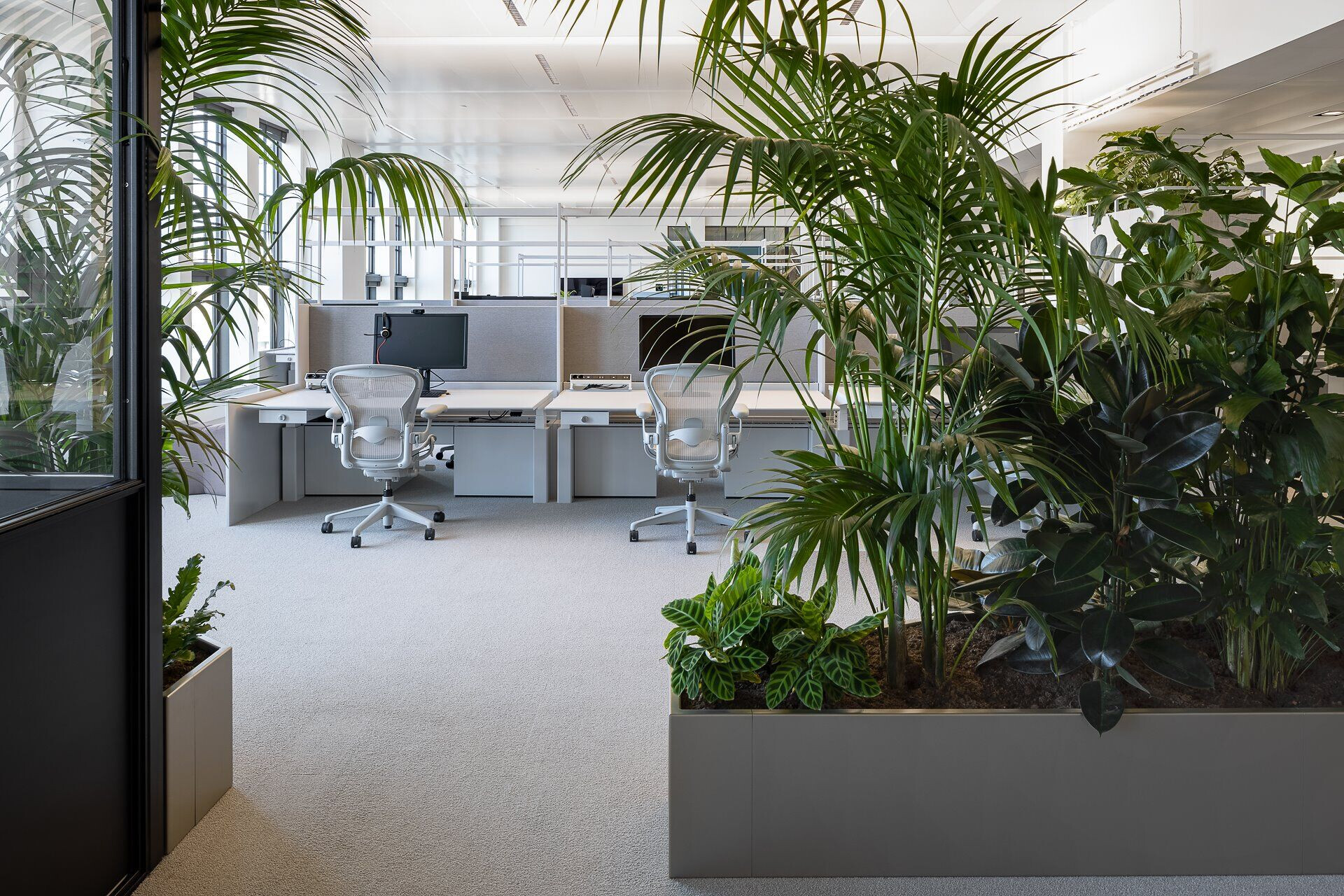 https://archello.com/story/97700/attachments/photos-videos/15 photo_credit Stijn Poelstra