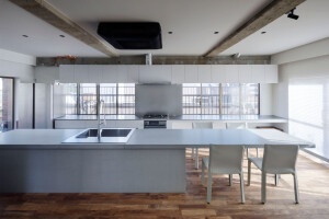 Tokyo penthouse