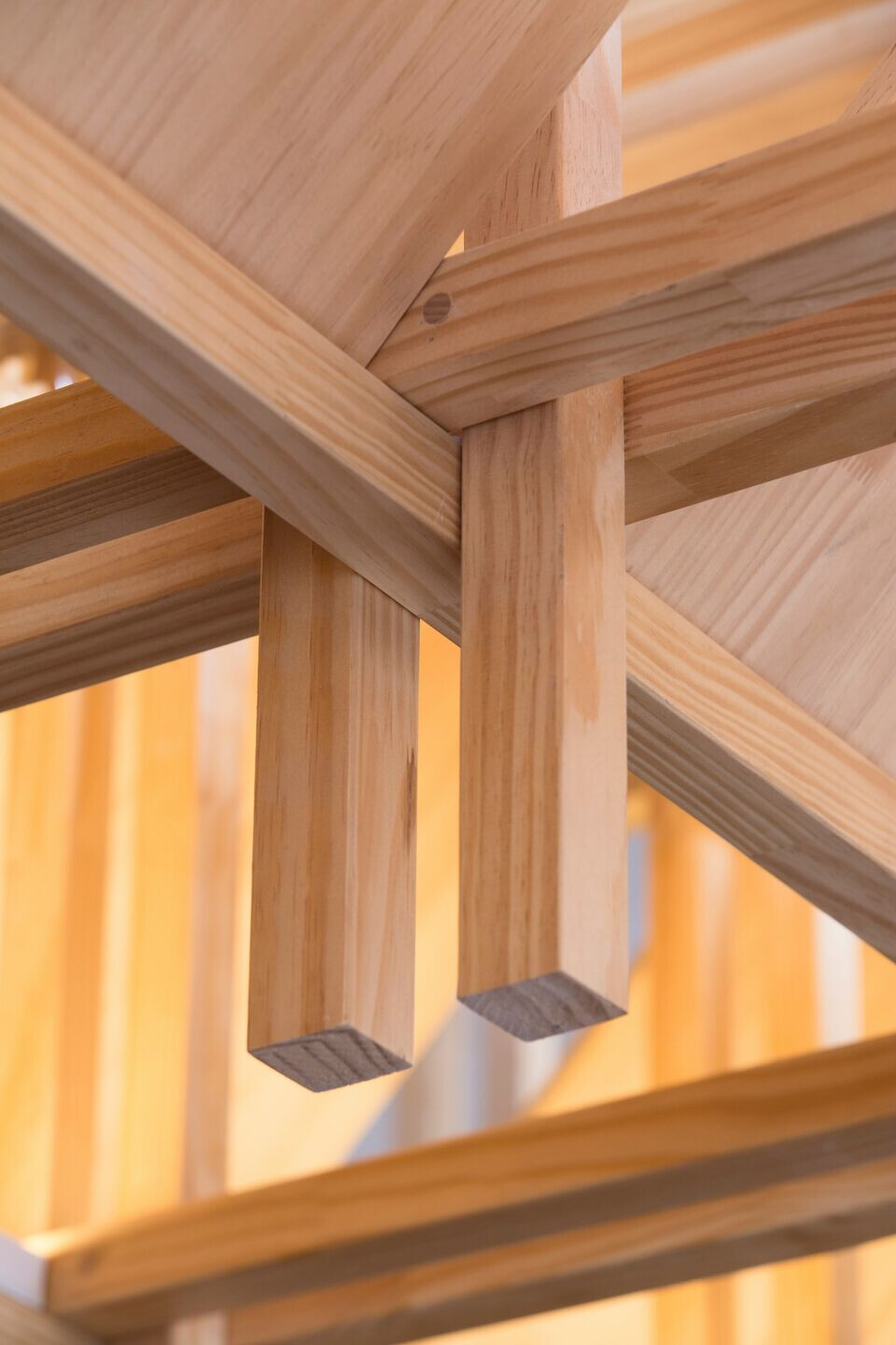 https://archello.com/story/98383/attachments/photos-videos/7 photo_credit Levi Mendes Junior