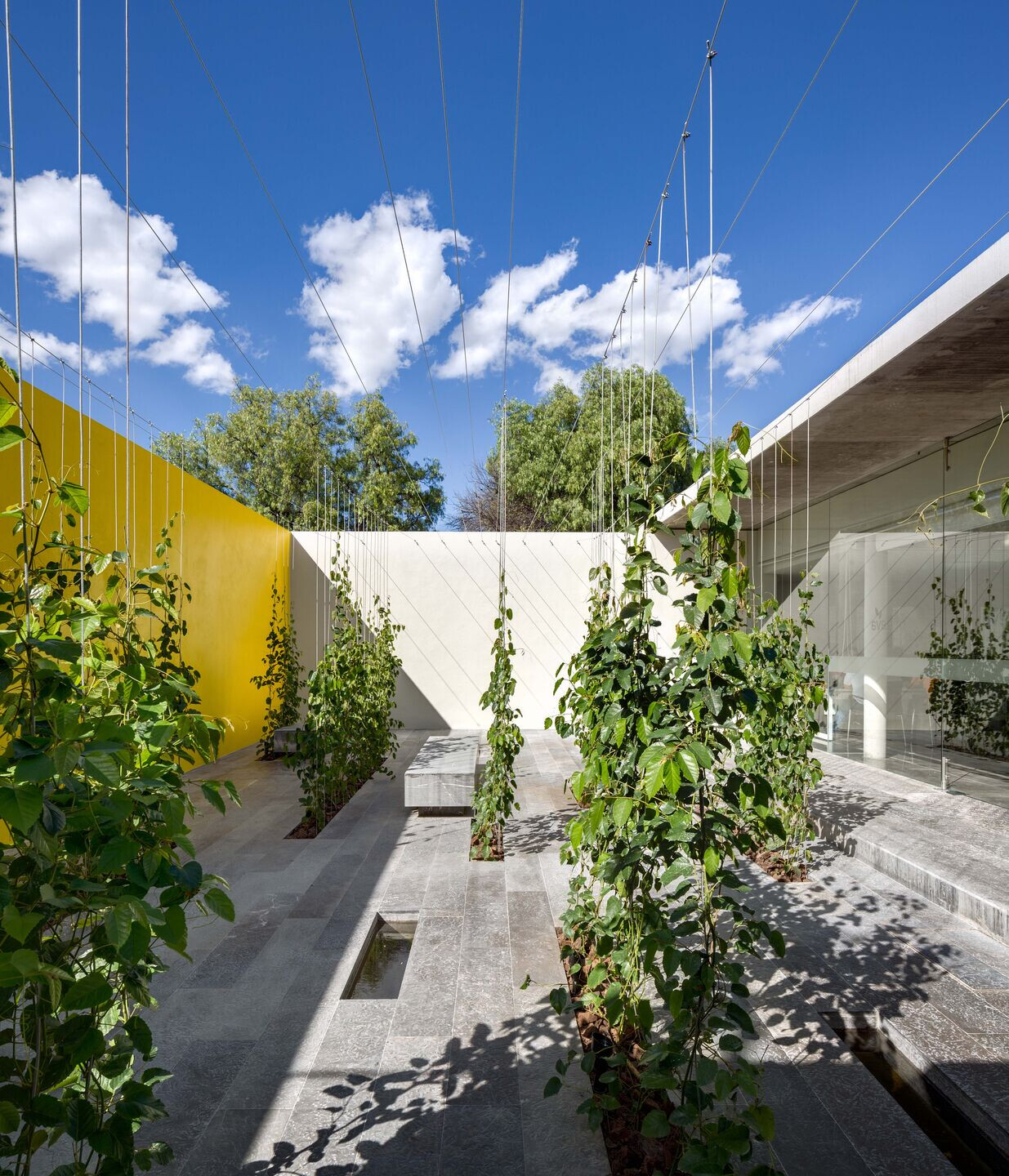 https://archello.com/story/98537/attachments/photos-videos/5 photo_credit Rafael Gamo
