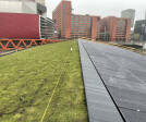 The FOR after the green roof installation