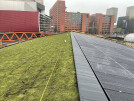 The FOR after the green roof installation