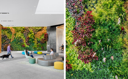 Living Wall at 601 City Center