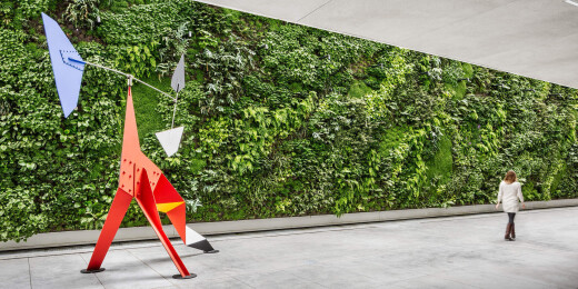 Living Wall at SFMOMA