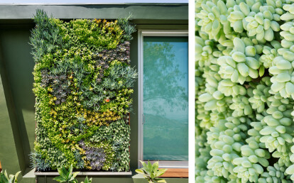 Living Wall at Private Residence