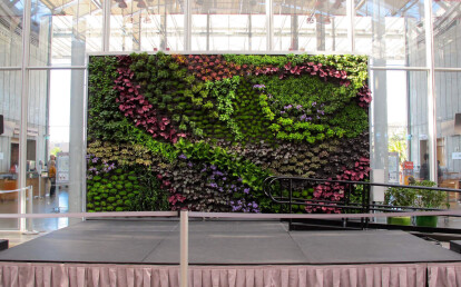 Living Wall at California Academy of Sciences