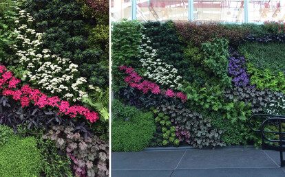 Living Wall at California Academy of Sciences