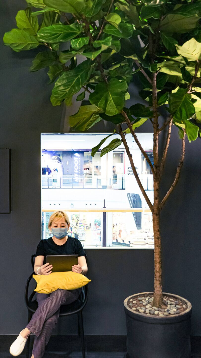 https://archello.com/story/99041/attachments/photos-videos/6 photo_credit DE2ID Singapore