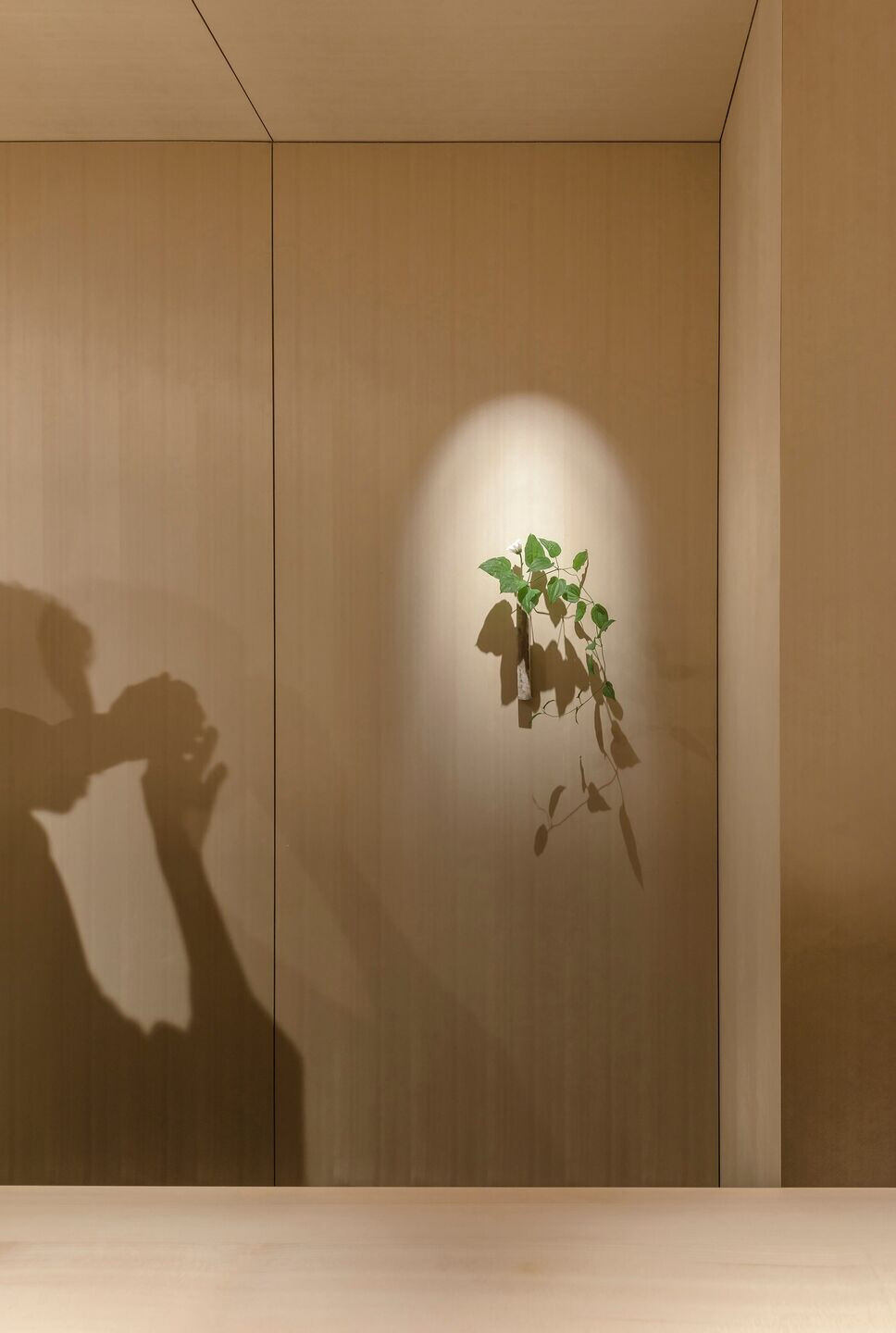 https://archello.com/story/99175/attachments/photos-videos/20 photo_credit IKUYA SASAKI