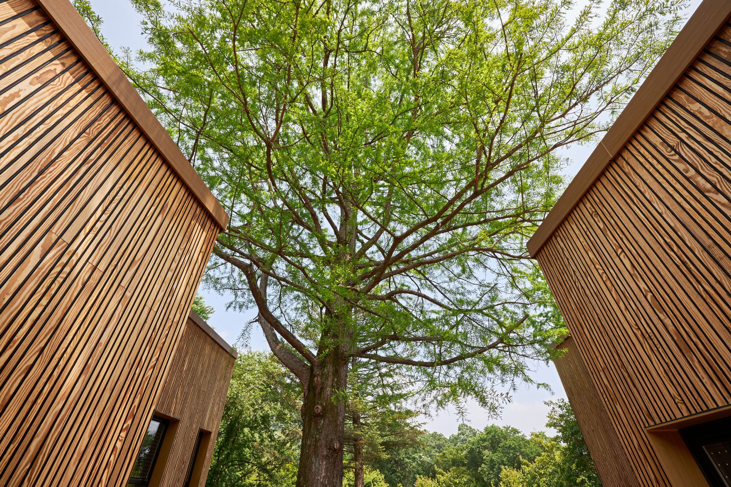 https://archello.com/story/99236/attachments/photos-videos/18 photo_credit Hoonkoo LEE