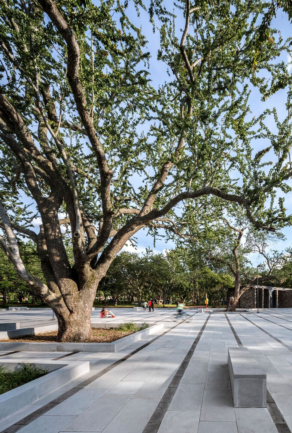 https://archello.com/story/99347/attachments/photos-videos/6 photo_credit César Bejar