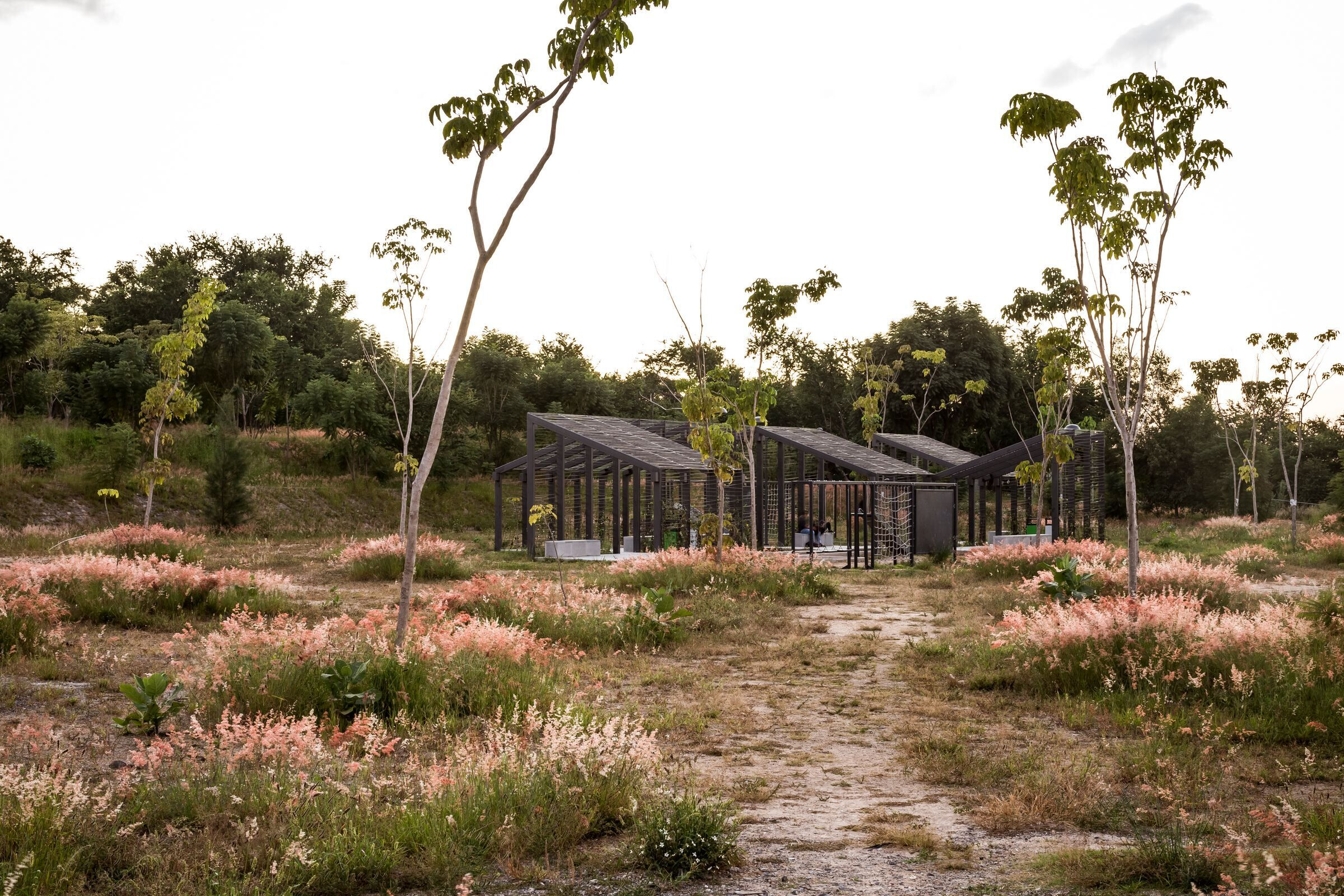 https://archello.com/story/99347/attachments/photos-videos/13 photo_credit César Bejar