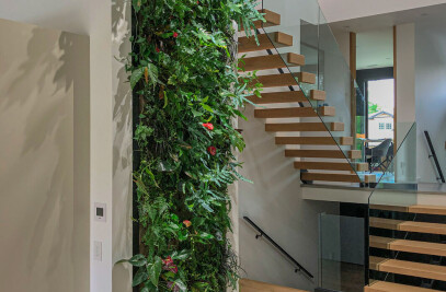 North York Residential Living Wall
