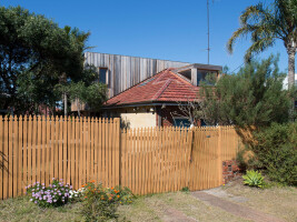 Palm Tree House