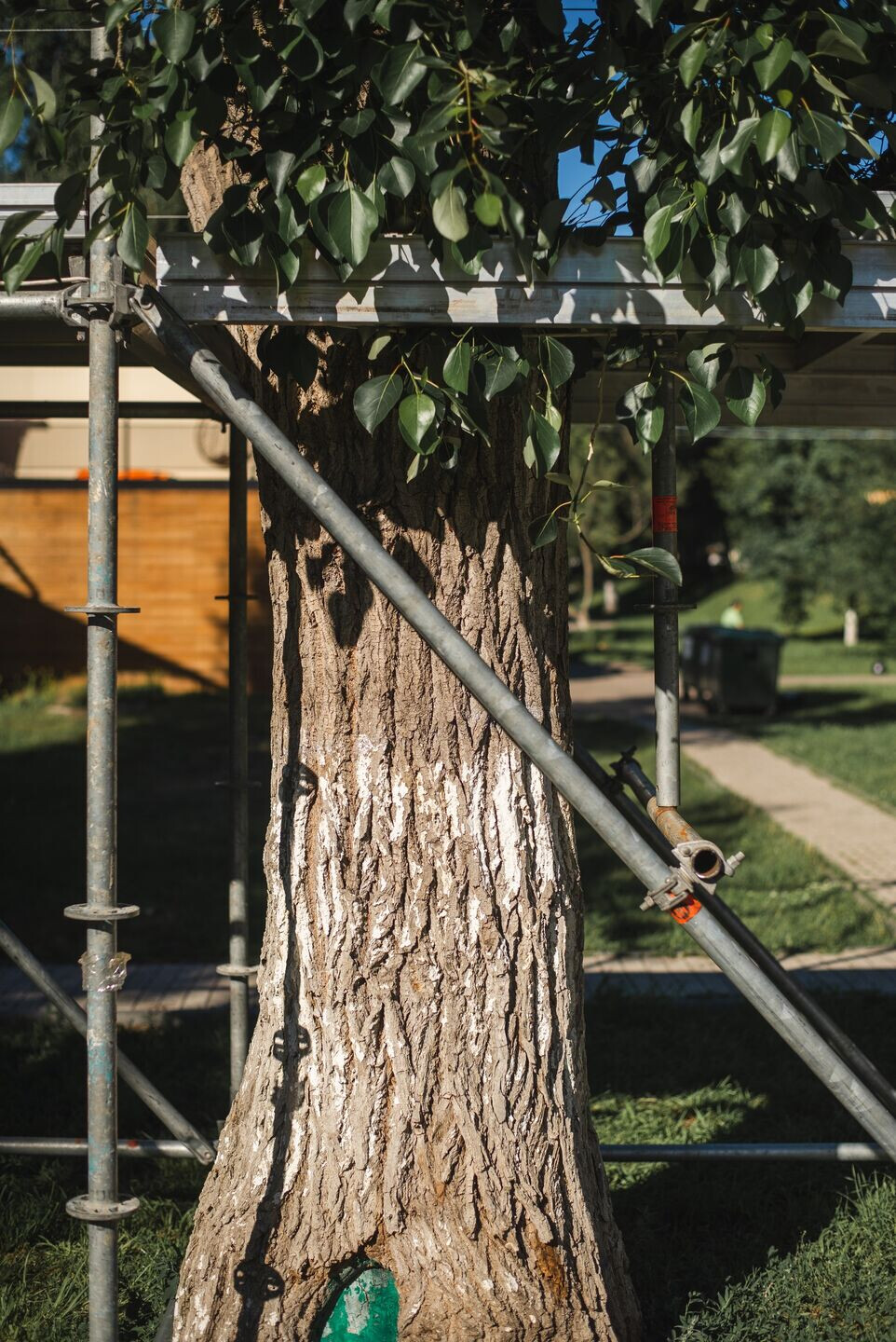 https://archello.com/story/99463/attachments/photos-videos/8 photo_credit Andrew Bolkhovetsky