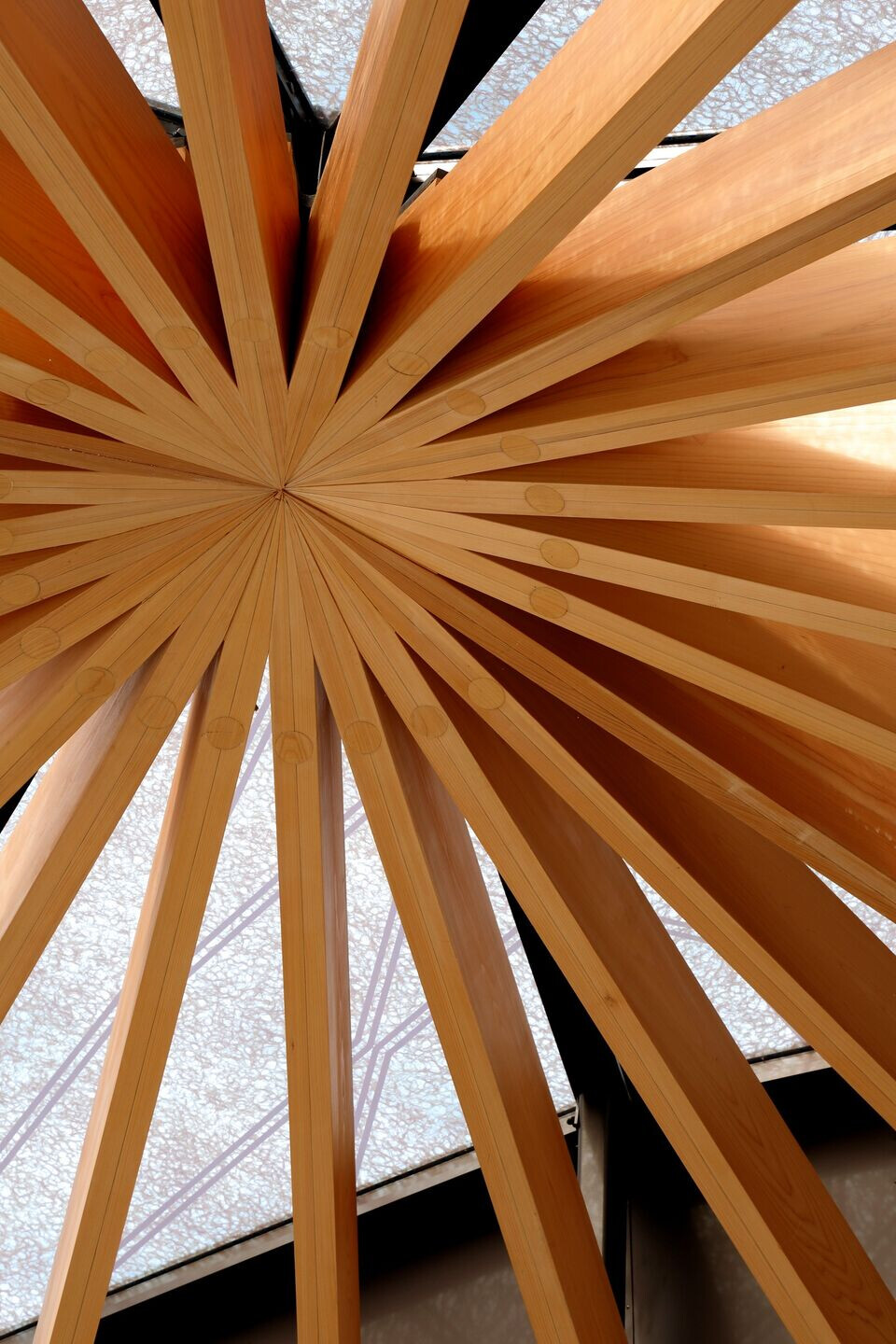 https://archello.com/story/99723/attachments/photos-videos/19 photo_credit Naoomi Kurozumi