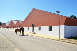 Military Academy Horsemanship and Sport Facilities