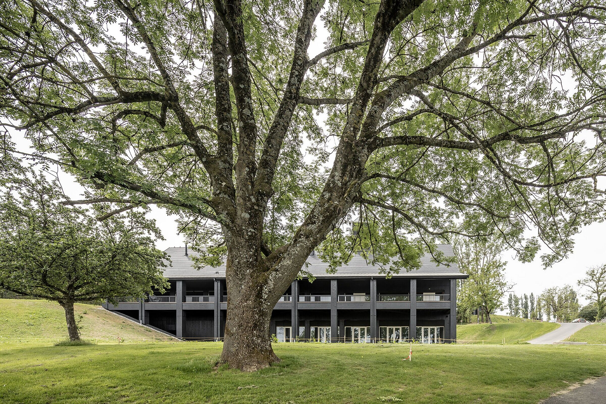 https://archello.com/story/100338/attachments/photos-videos/4 photo_credit Luc Boegly