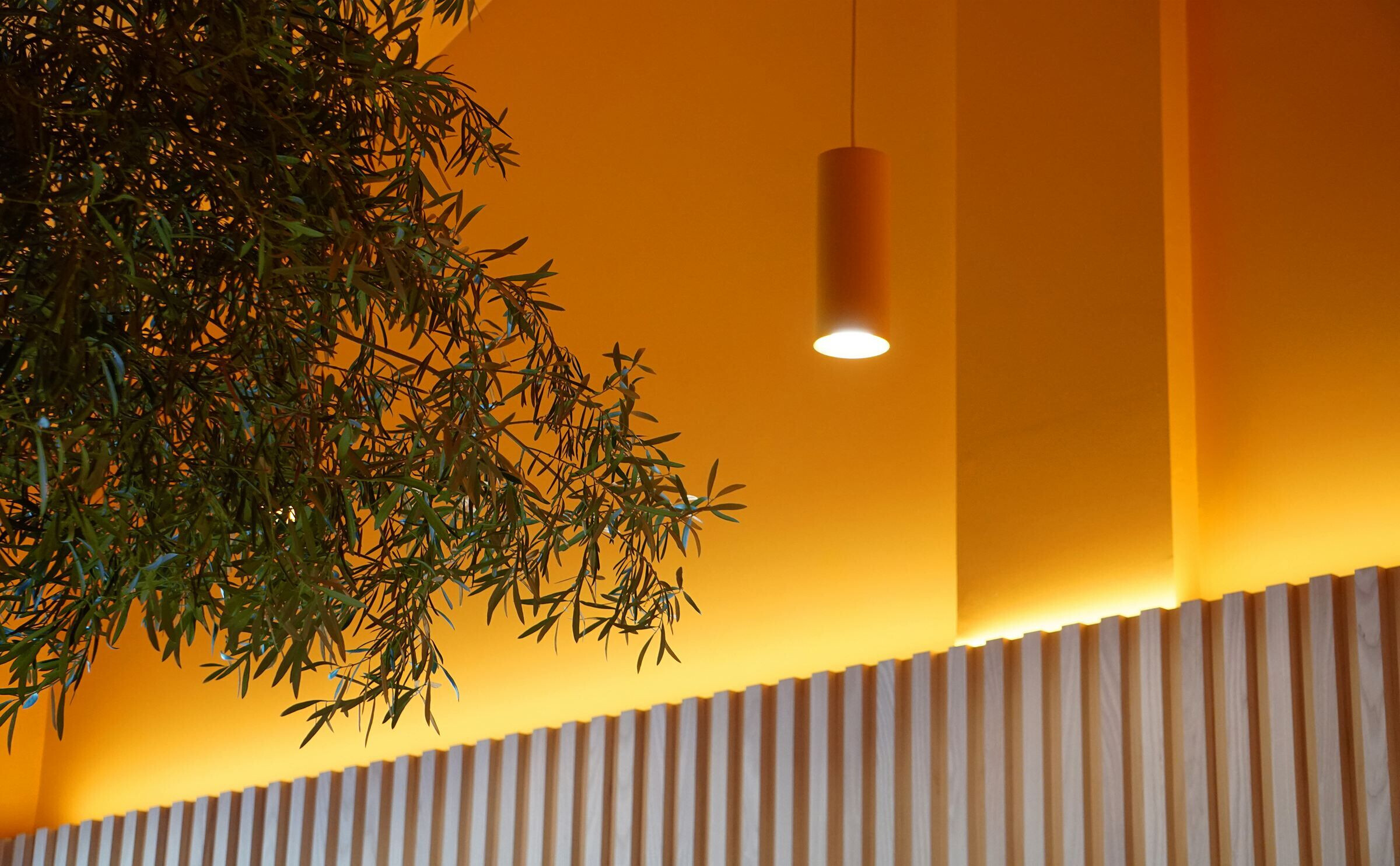 https://archello.com/story/100972/attachments/photos-videos/9