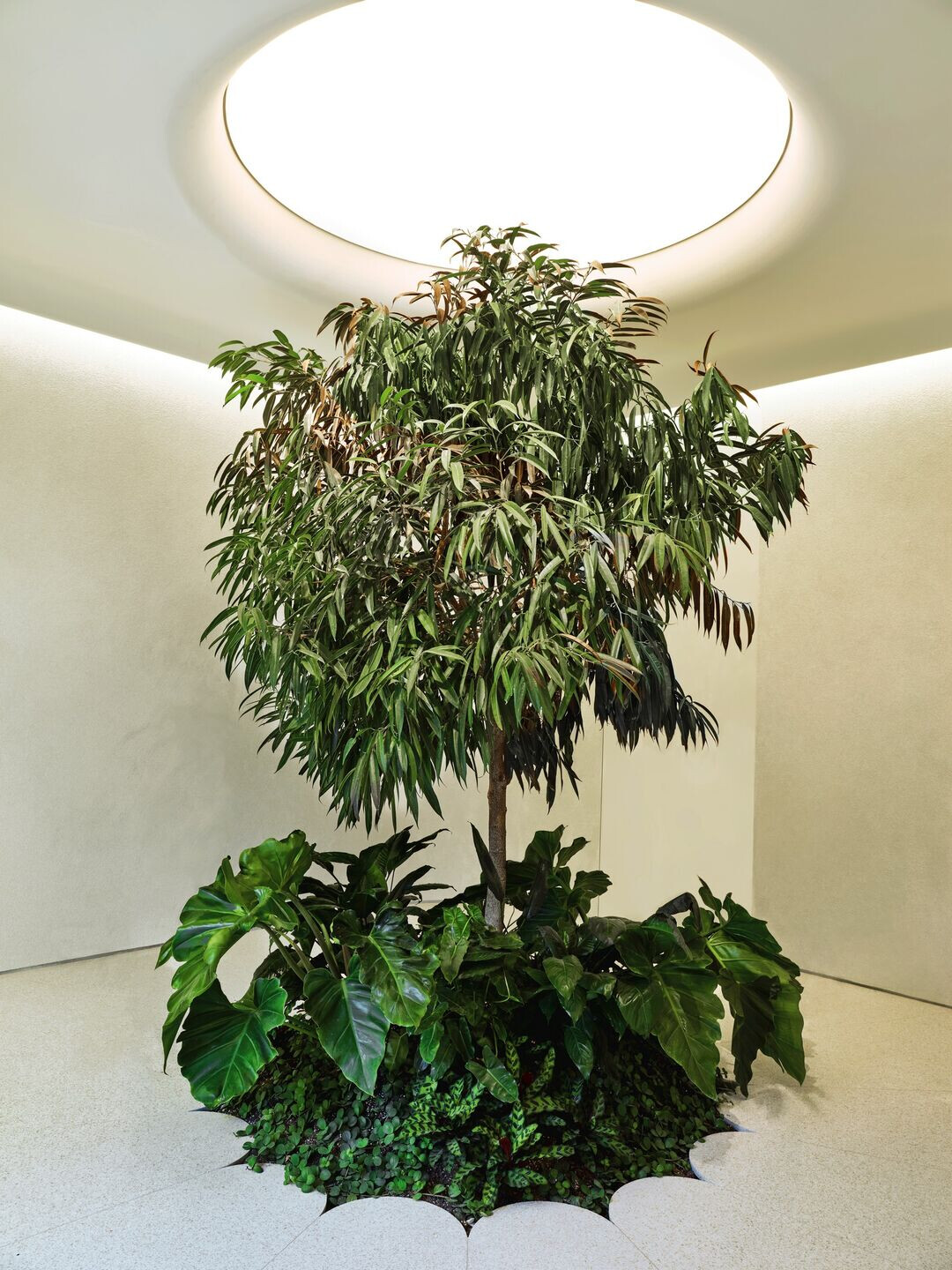 https://archello.com/story/101307/attachments/photos-videos/3 photo_credit Joel Esposito