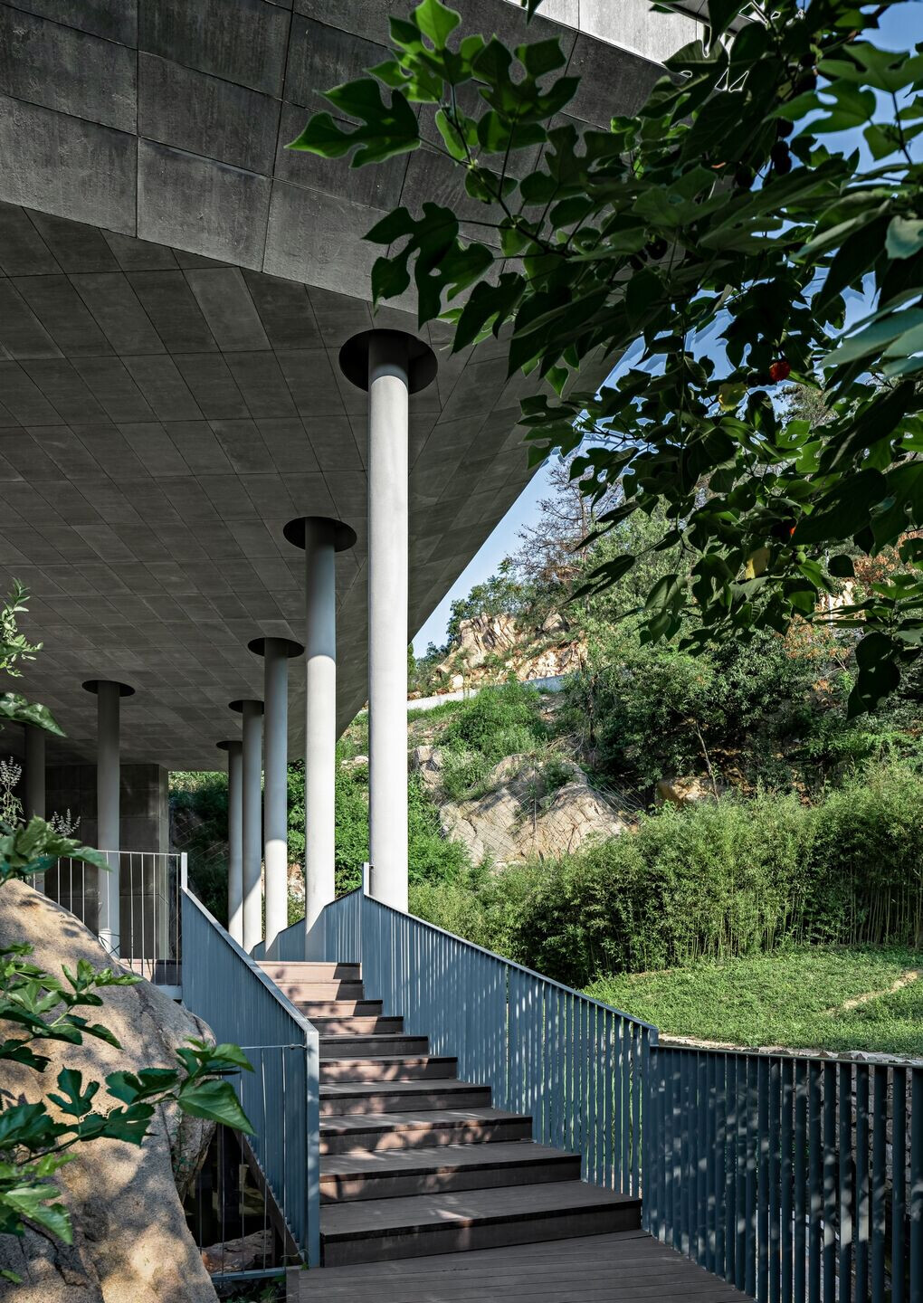 https://archello.com/story/101646/attachments/photos-videos/23 photo_credit Zheng Yan