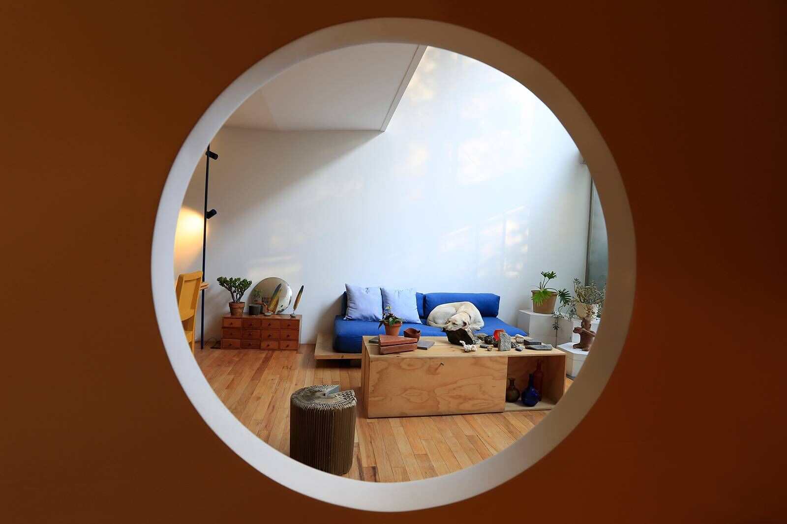 https://archello.com/story/101885/attachments/photos-videos/8 photo_credit Paulina Campos