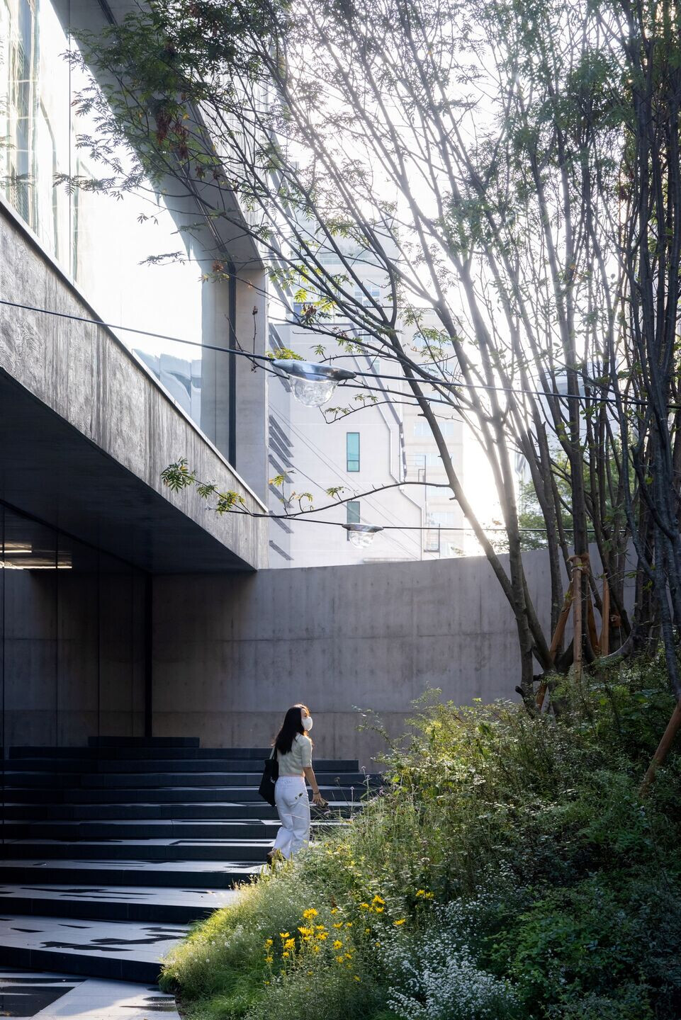 https://archello.com/story/98375/attachments/photos-videos/10 photo_credit Iwan Baan