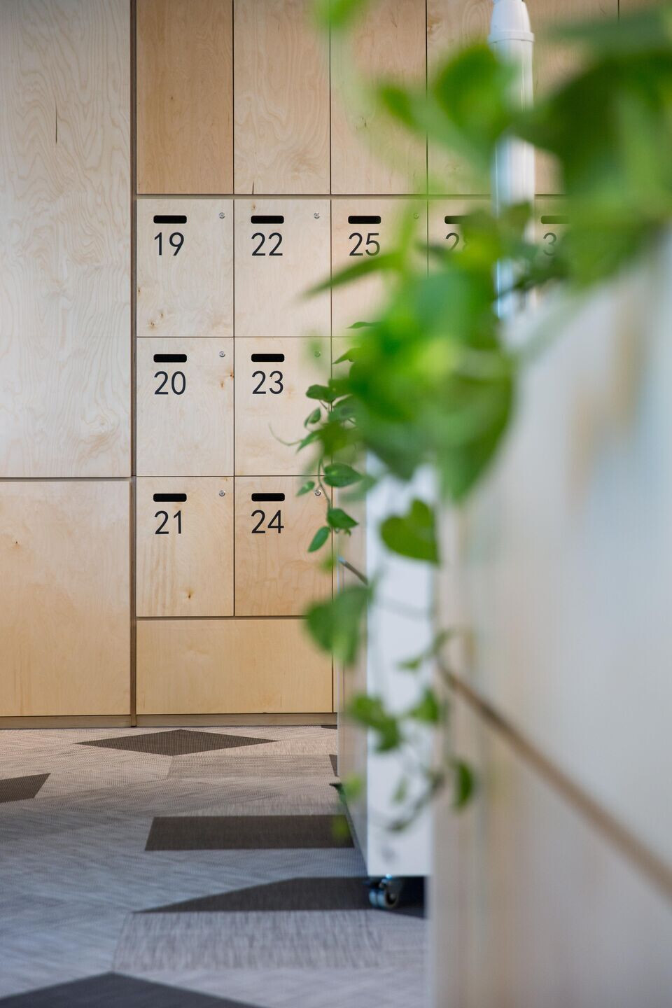 https://archello.com/story/101879/attachments/photos-videos/13 photo_credit Luca Noto