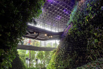 multi-layered-greenery-c-singapore-pavilion-expo-2020-dubai.jpg