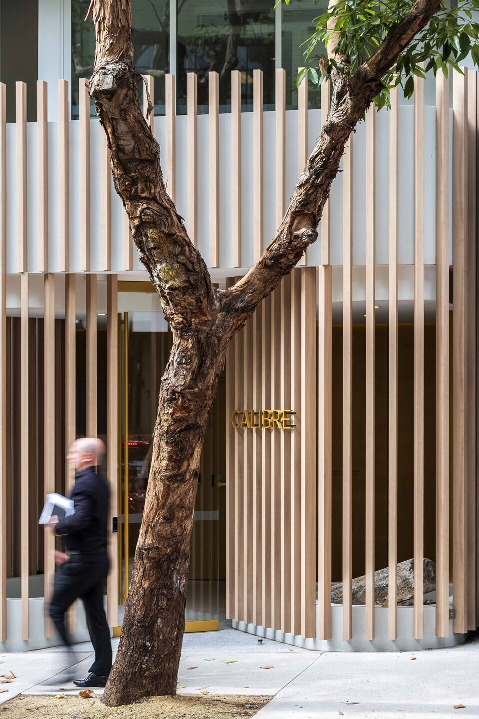 https://archello.com/story/102121/attachments/photos-videos/9 photo_credit Tom Ferguson
