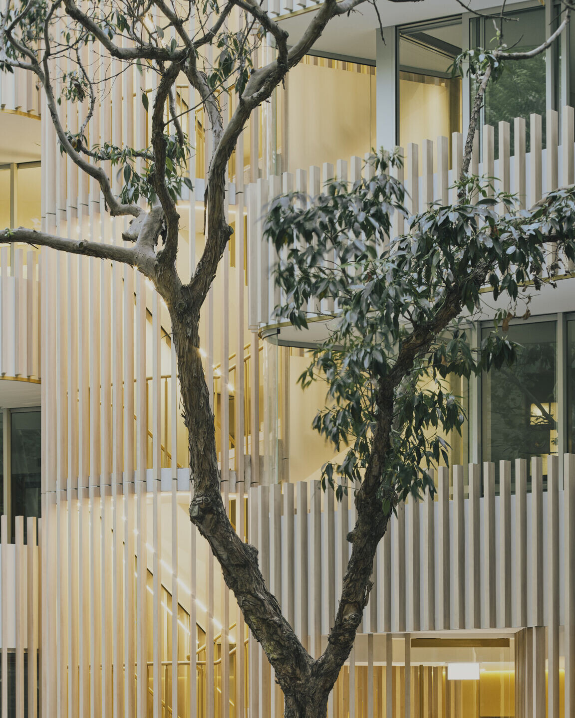https://archello.com/story/102121/attachments/photos-videos/16 photo_credit Bryn Donkersloot