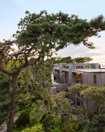 Fire Island House