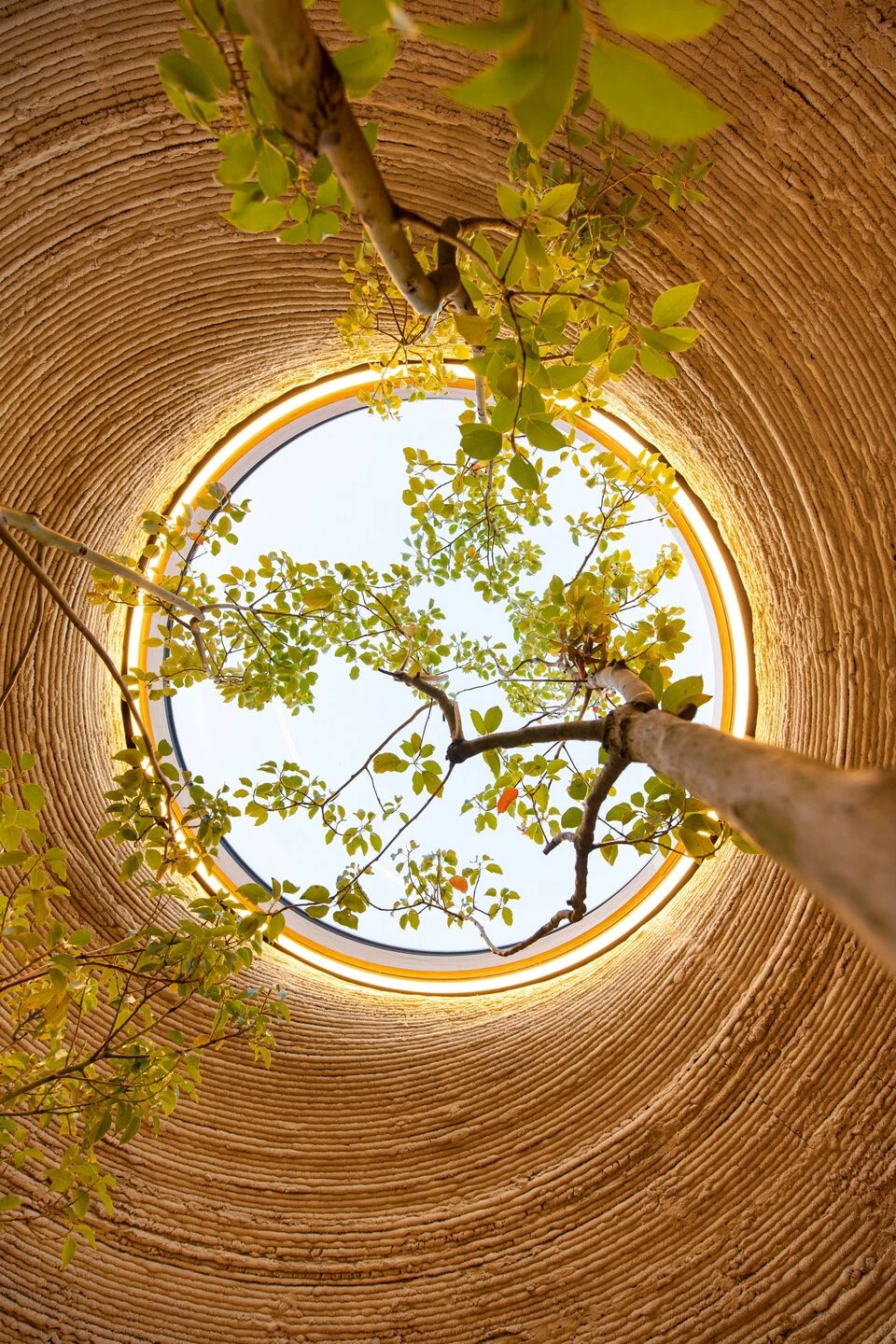https://archello.com/story/102885/attachments/photos-videos/15 photo_credit Iago Corazza