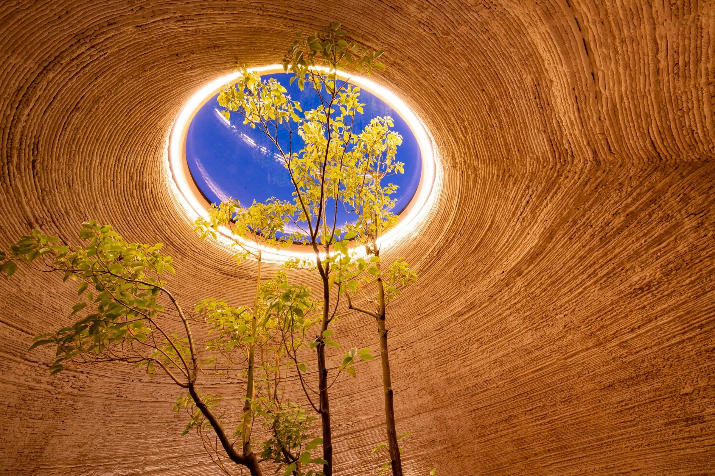 https://archello.com/story/102885/attachments/photos-videos/16 photo_credit Iago Corazza