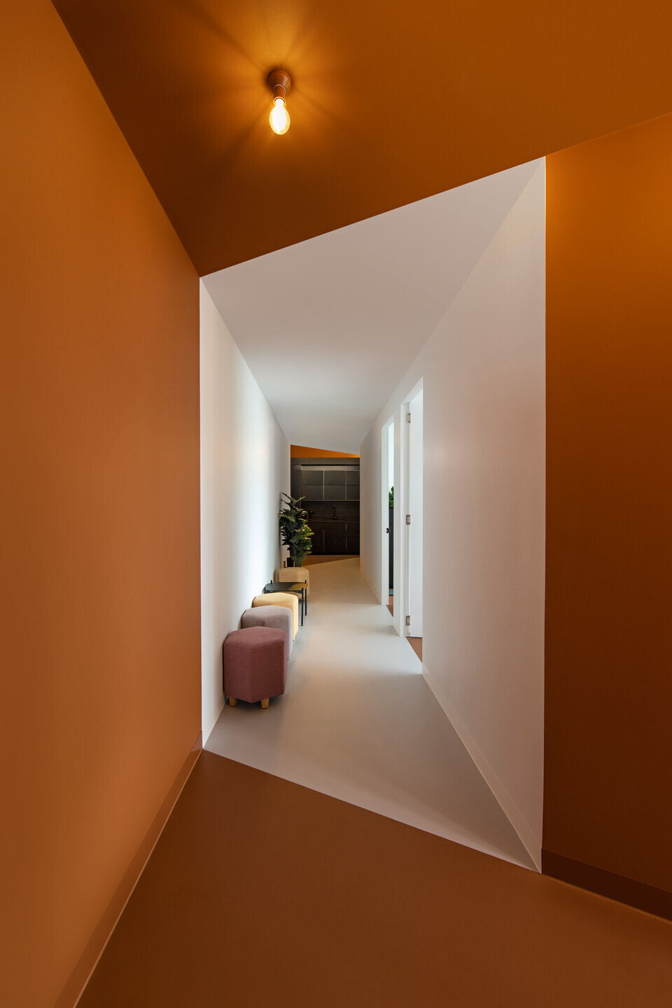 https://archello.com/story/102919/attachments/photos-videos/3 photo_credit Hilary Walker