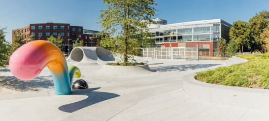 Nike EHQ Homecourt Skate Landscape | F31 | Archello