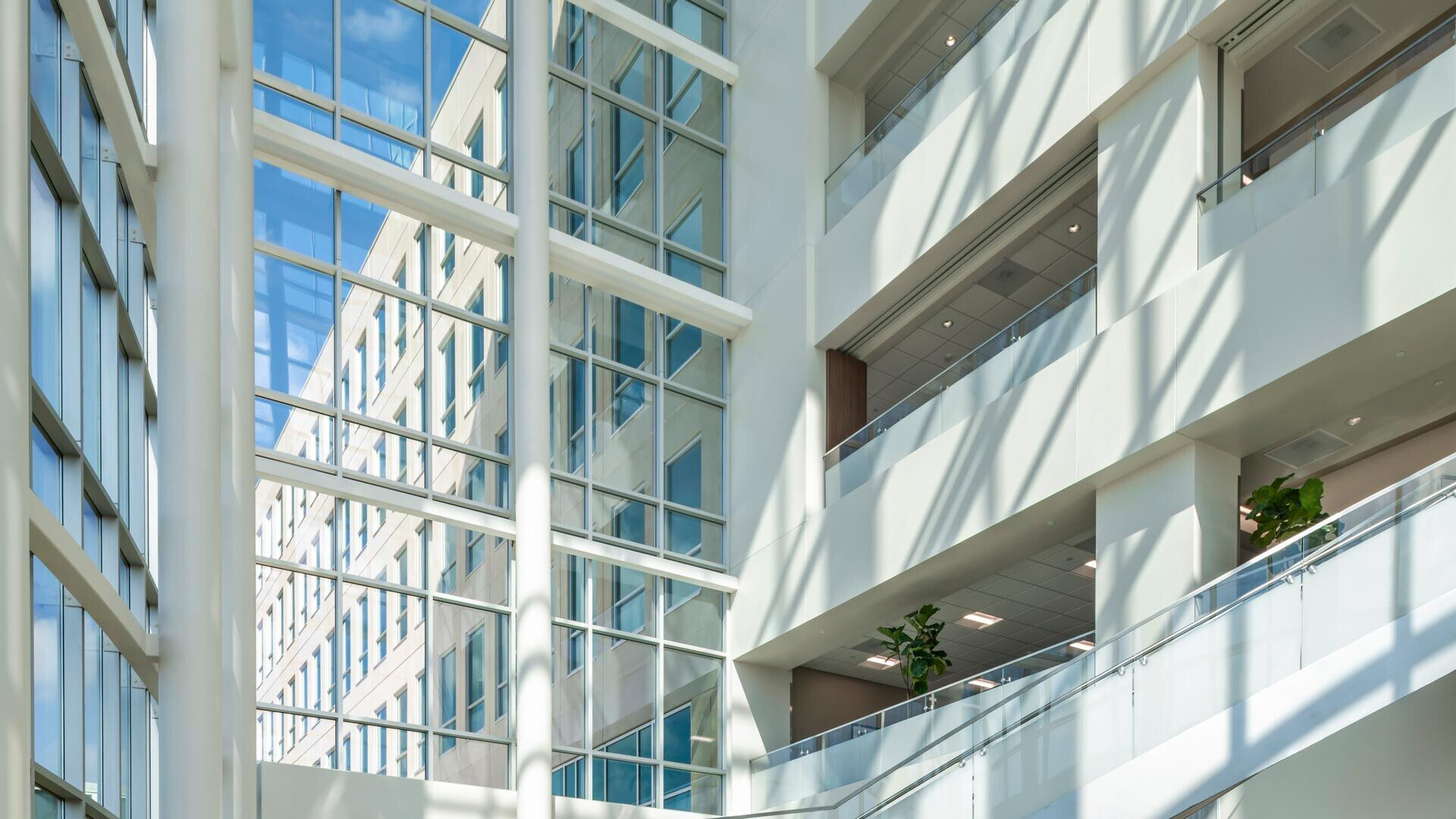 https://archello.com/story/103725/attachments/photos-videos/4 photo_credit HDR © 2020 James Lane