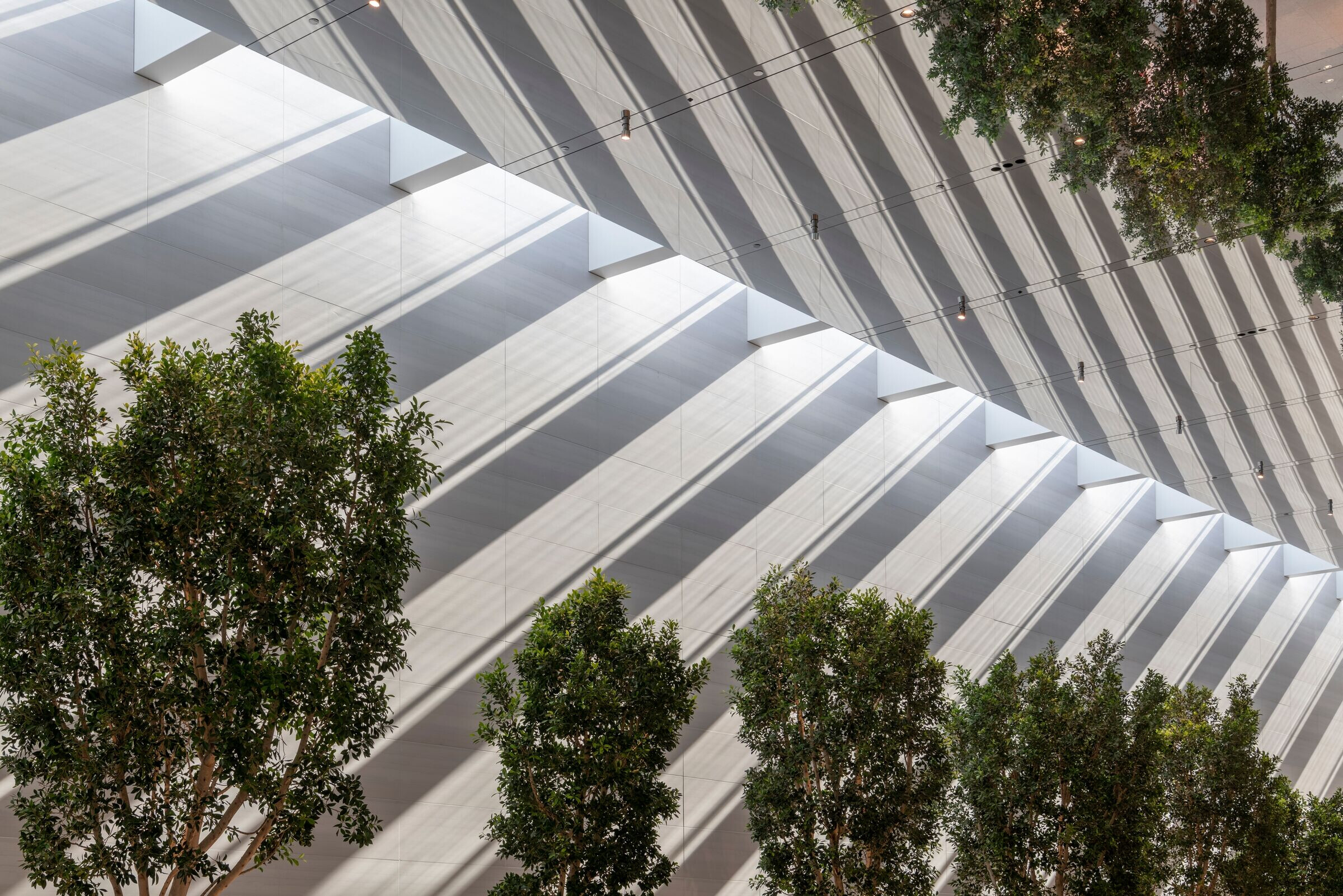 https://archello.com/story/103817/attachments/photos-videos/9 photo_credit Nigel Young / Foster+Partners