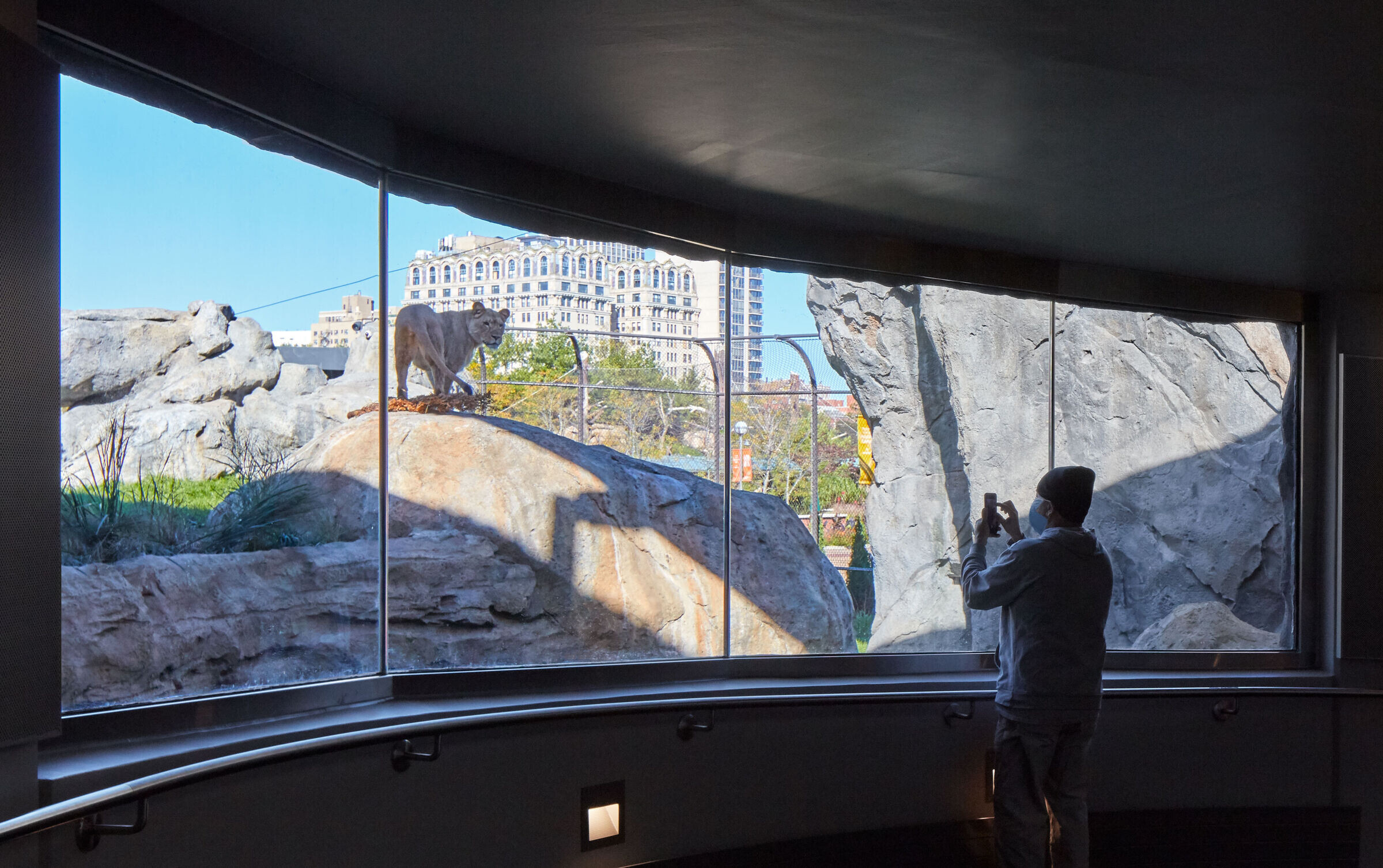 https://archello.com/story/103873/attachments/photos-videos/12 photo_credit Tom Harris