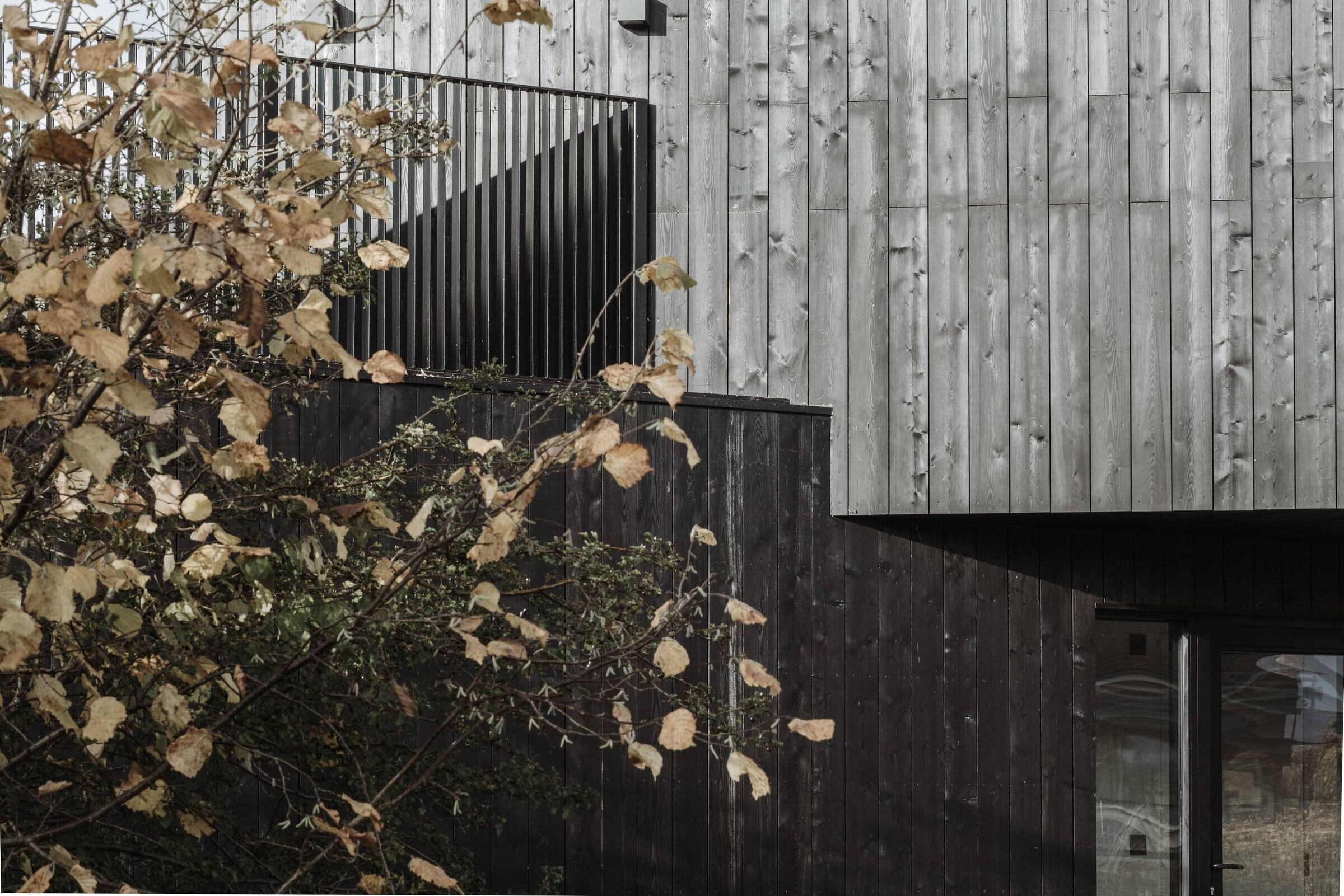 https://archello.com/story/104009/attachments/photos-videos/19 photo_credit Olco Studios