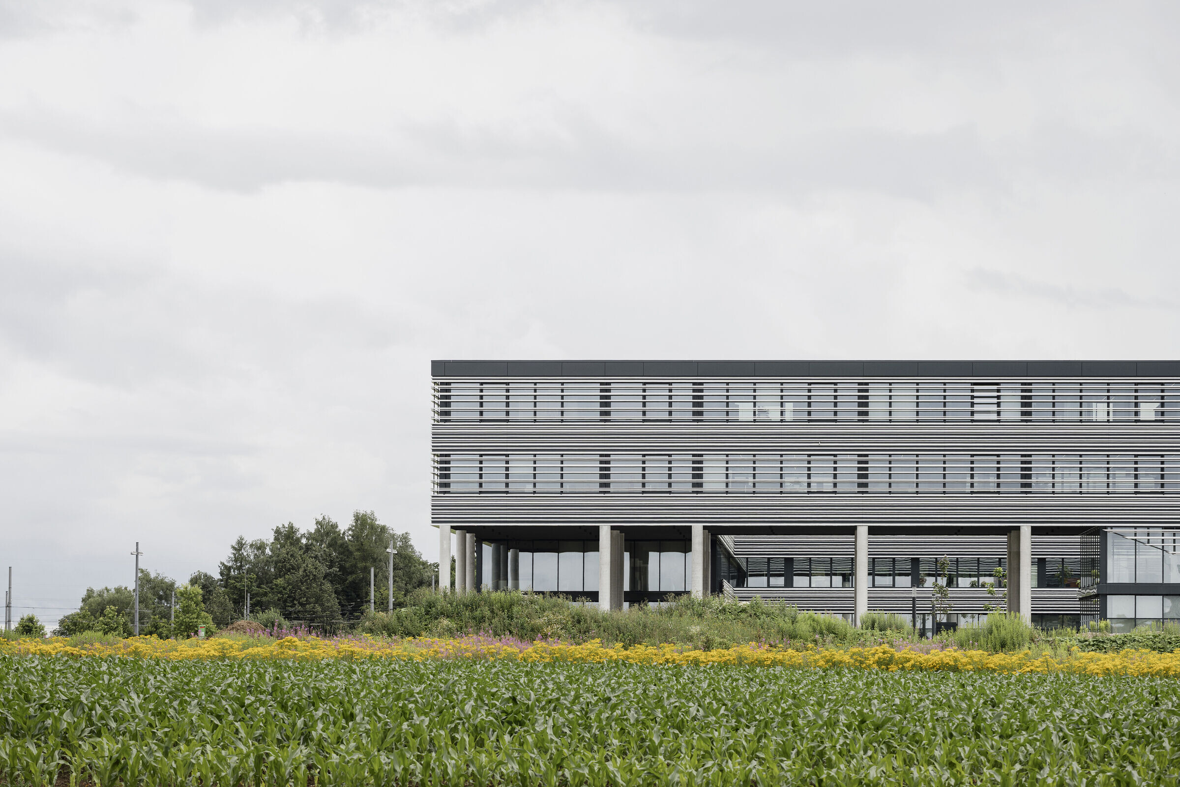 https://archello.com/story/104035/attachments/photos-videos/5 photo_credit Philipp Obkircher