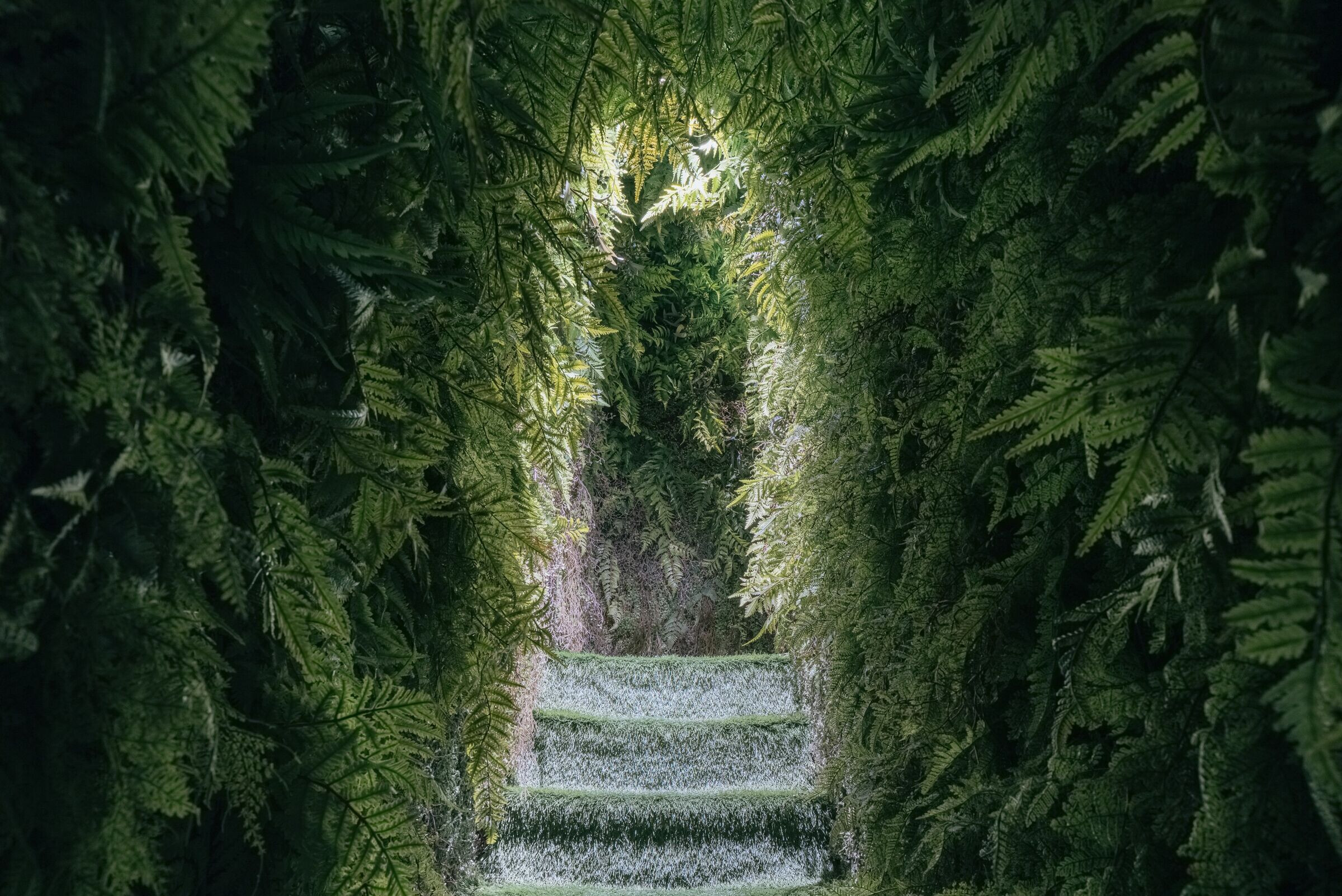 https://archello.com/story/104745/attachments/renders/10 photo_credit Sumsei Terarium