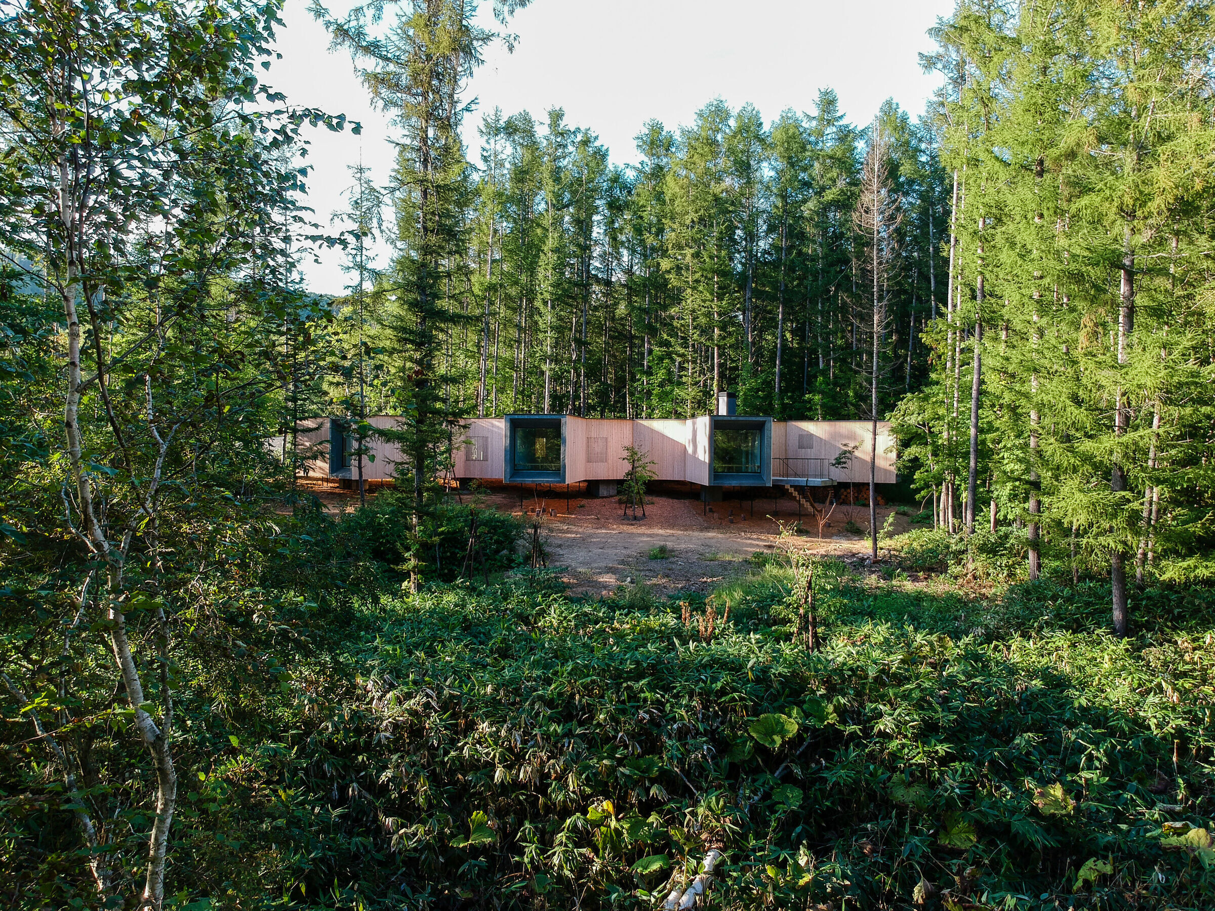 photo_credit House in the Forest by Florian Busch Architects - © Courtesy of Florian Busch Architects