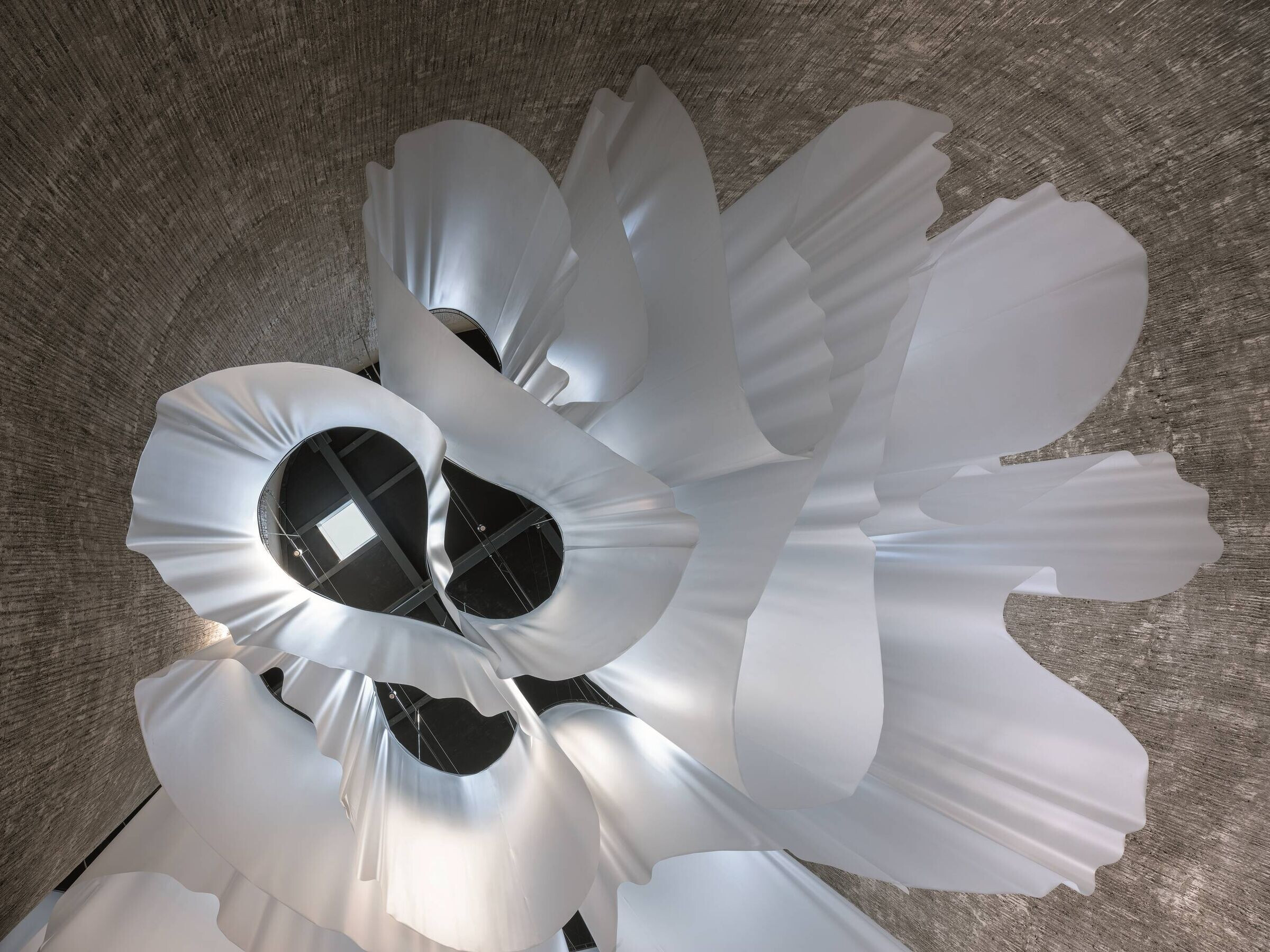 https://archello.com/story/105446/attachments/photos-videos/21 photo_credit ©Duccio Malagamba