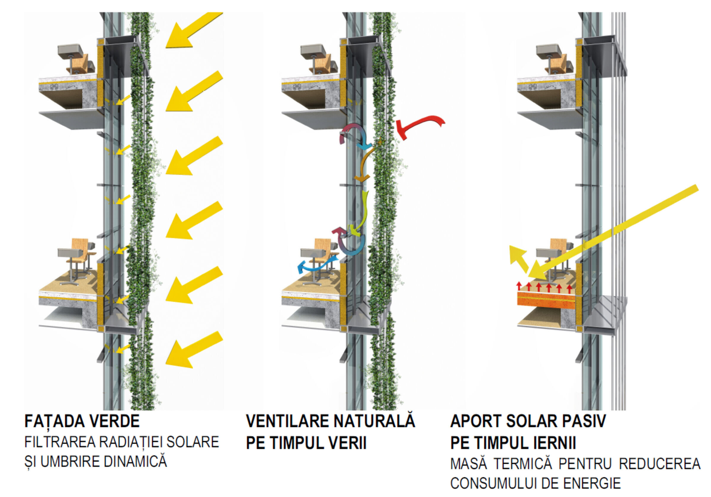 photo_credit TECTO Arhitectura