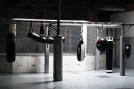 The combat sports part of the gym features grappling mats, a variety of striking bags, a boxing ring, and an MMA cage
