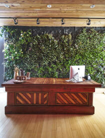 Advanced green technologies include a living wall, contrasting with the natural table