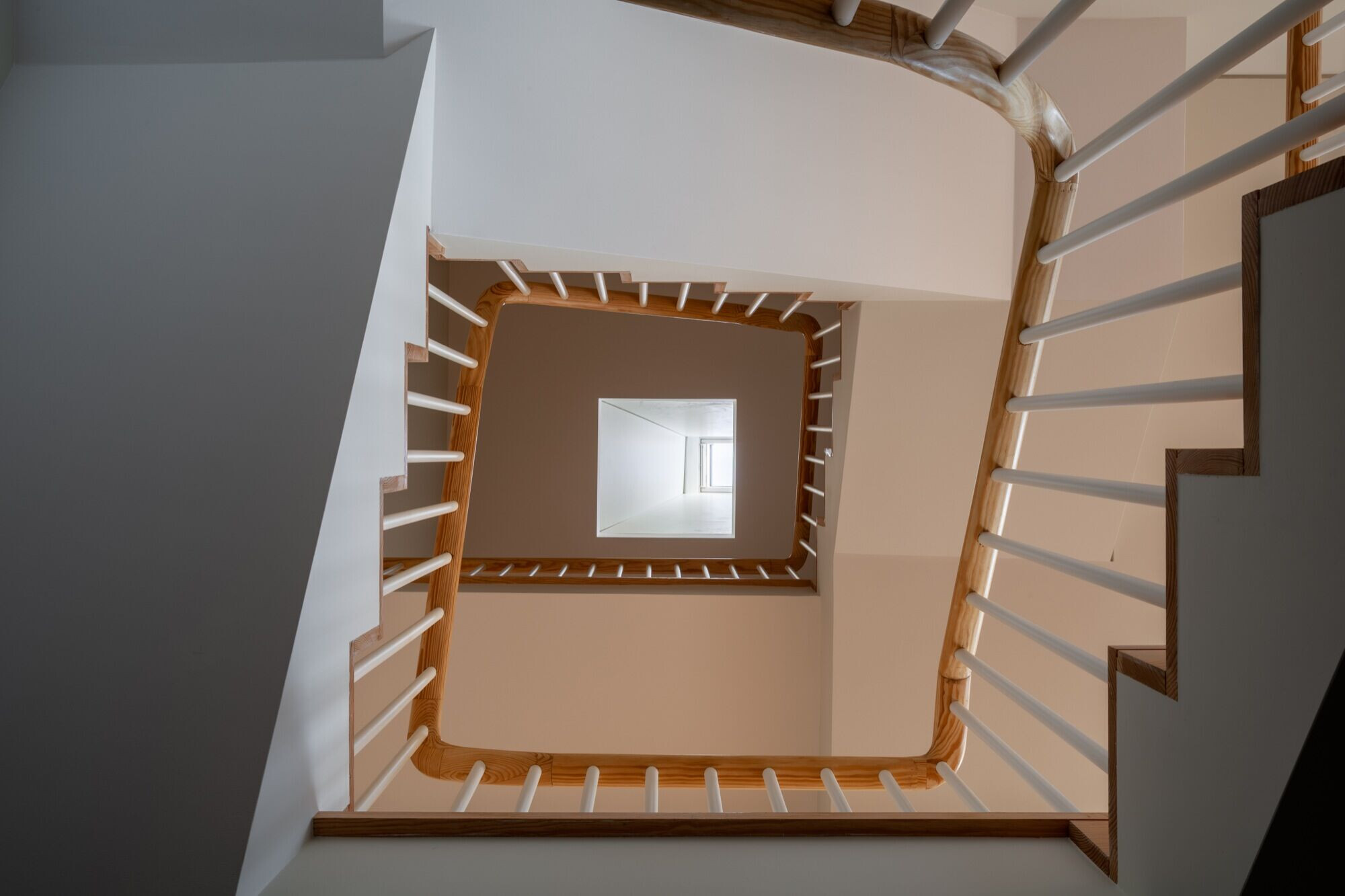 https://archello.com/story/105781/attachments/photos-videos/19 photo_credit francisco ascensão
